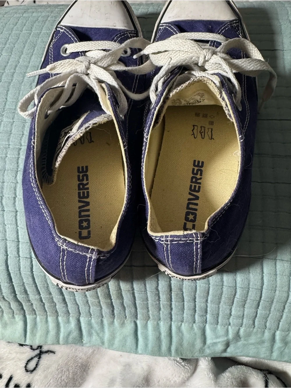 Converse Navy Canvas Low-Top Sneakers - Classic Lace-Up